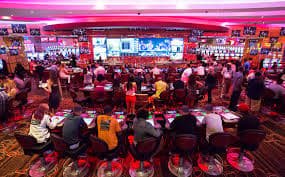 nemo4d togel tier progression and weekly cashback display